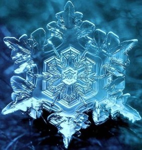 Water Crystal affected by Love - Masuru Emoto